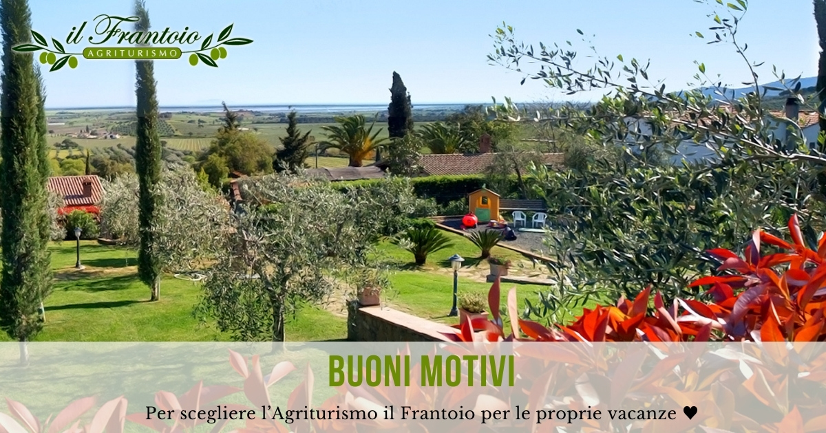 Agriturismo Maremma Vicino Al Mare Ecco Perch Sceglierci Il Frantoio