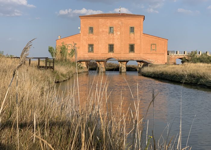 DIACCIA BOTRONA CASTIGLIONEDELLA PESCAIA (1)