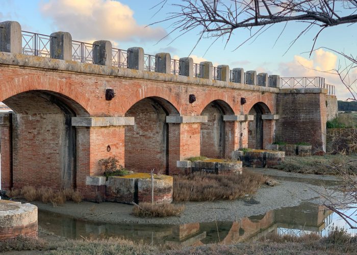 sentieri castiglionesi nei dintorni dell'Agriturismo il Frantoio (3)