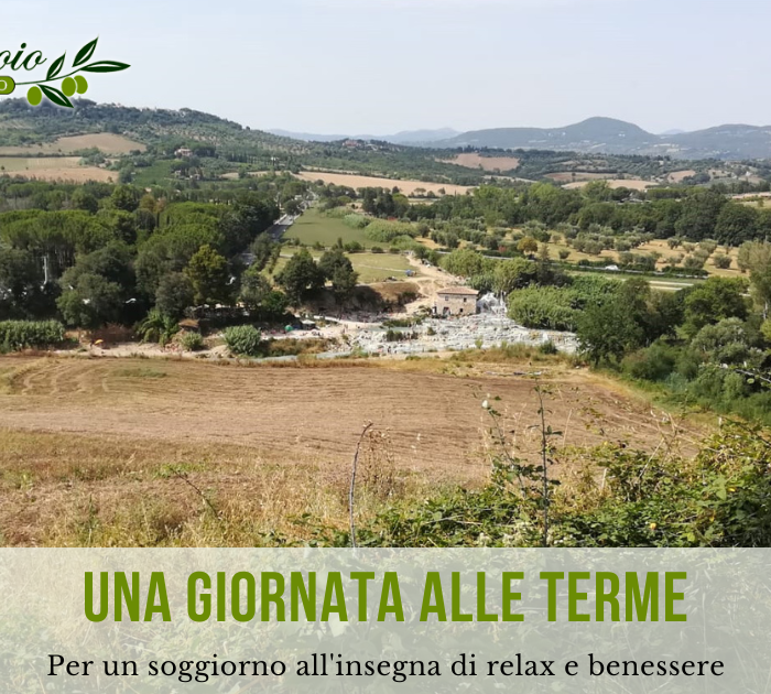 Case Vacanze Castiglione della Pescaia il Frantoio