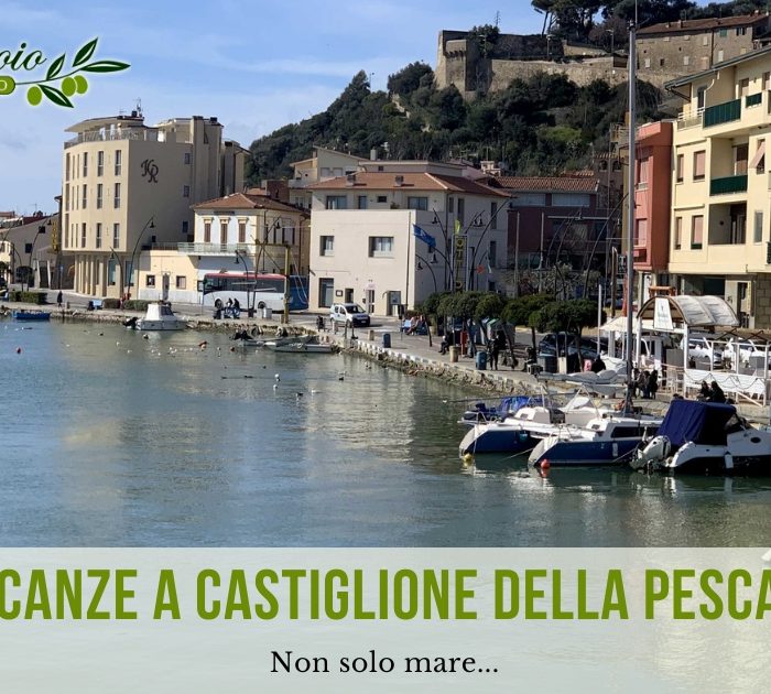 Vacanze a Castiglione della Pescaia mare e non solo - Agriturismo Il Frantoio appartamenti e piscina vicino al mare