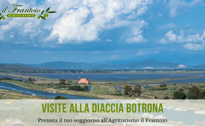 Agriturismi a Castiglione della Pescaia - Visite alla Diaccia Botrona