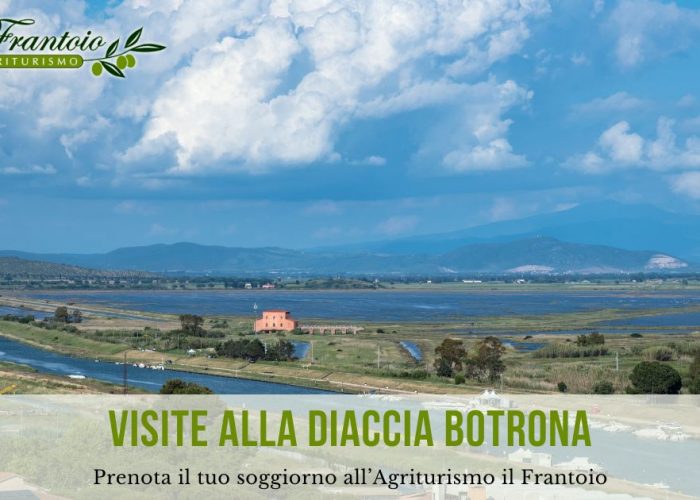 Agriturismi a Castiglione della Pescaia - Visite alla Diaccia Botrona