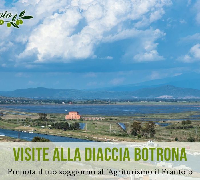 Agriturismi a Castiglione della Pescaia - Visite alla Diaccia Botrona